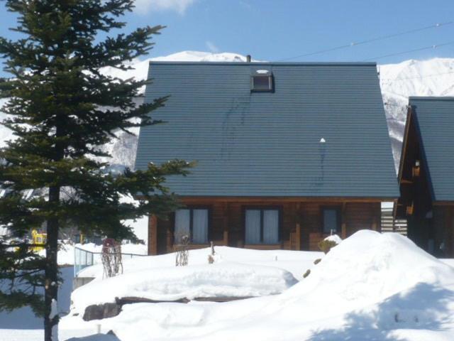 Hakuba Happo Log Chalets Extérieur photo